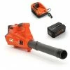 40V Akku Laubbläser E435C - Set Mit Akku Und Ladegerät FUXTEC 1 40V Akku Laubbläser E435C - Set Mit Akku Und Ladegerät FUXTEC -FUXTEC SHOP 14346944 1